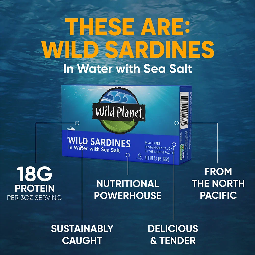 Wild Sardines In Water