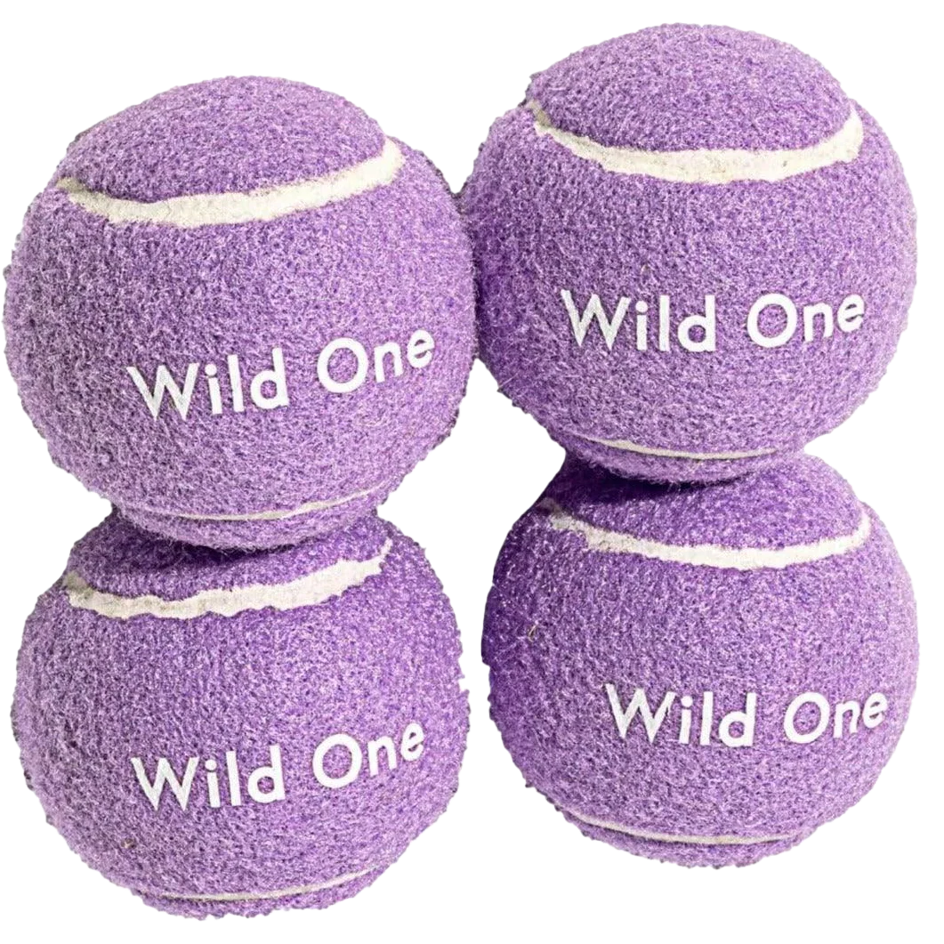 Tennis Balls - Standard - Lilac (4 CT)