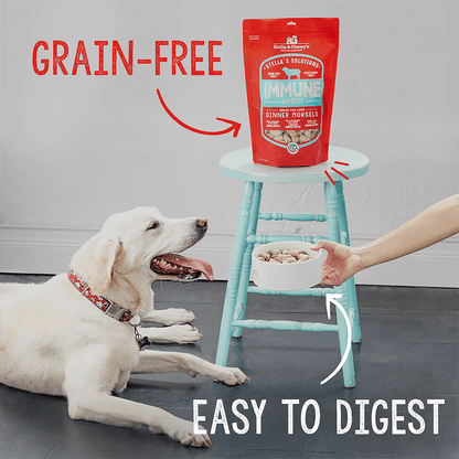 Stella’s Solutions Digestive Support for Dogs