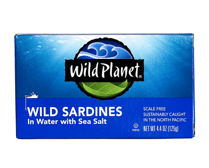 Wild Sardines In Water