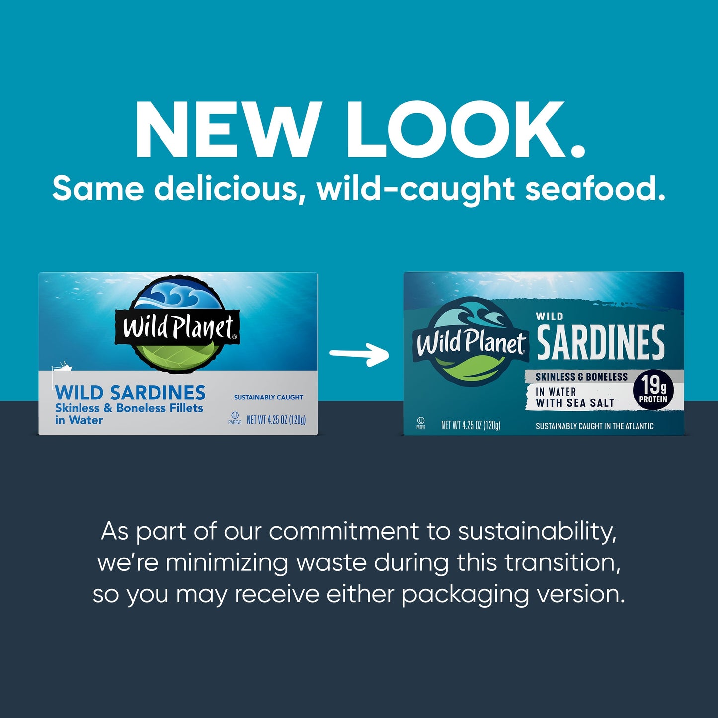Wild Sardines Skinless & Boneless Fillets In Water