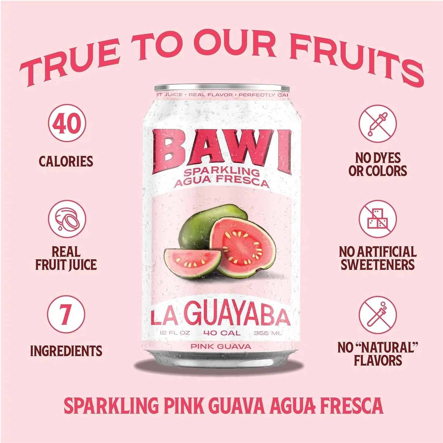 Sparkling Agua Fresca Variety (4 Pack)