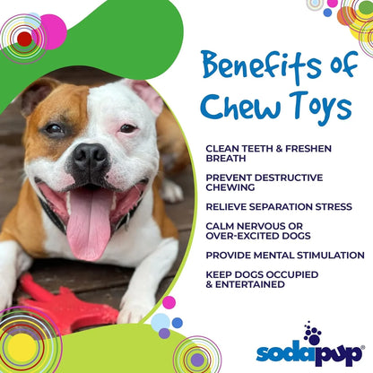 Electric Guitar ¨C Durable Dog Chew Toy